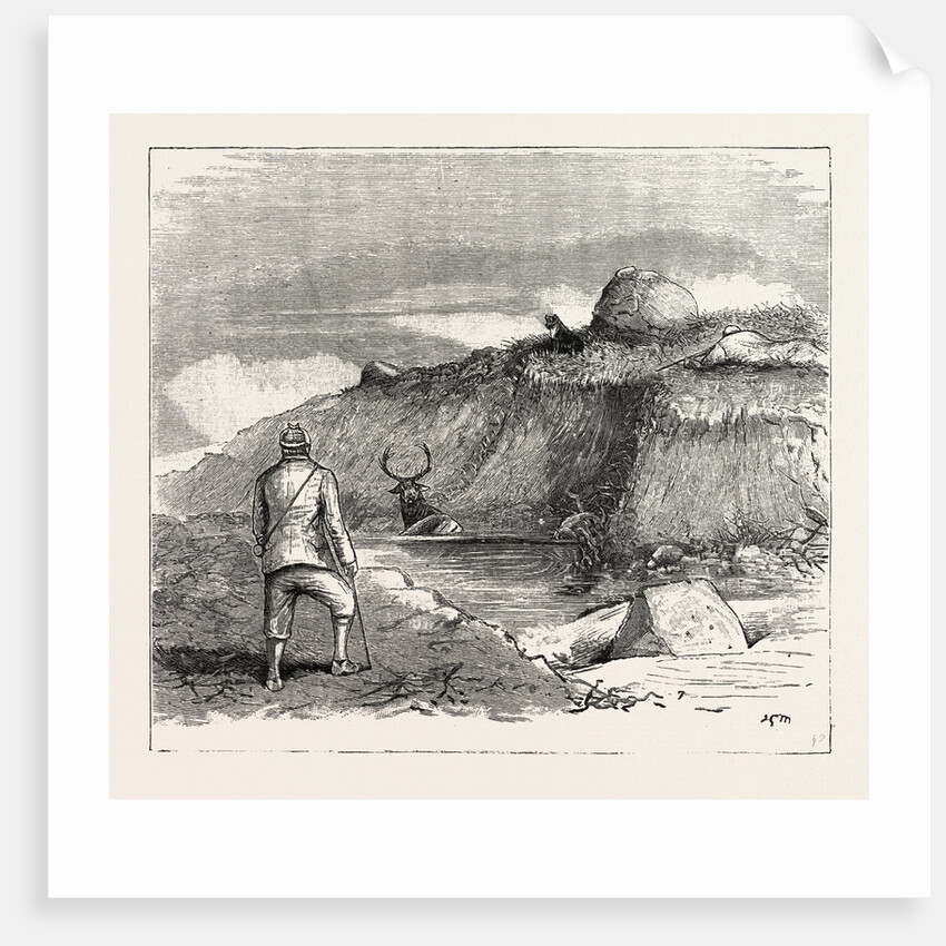 Deer Stalking in the Forest of the Black Mount, Argyllshire: The Coup De Grace by Anonymous