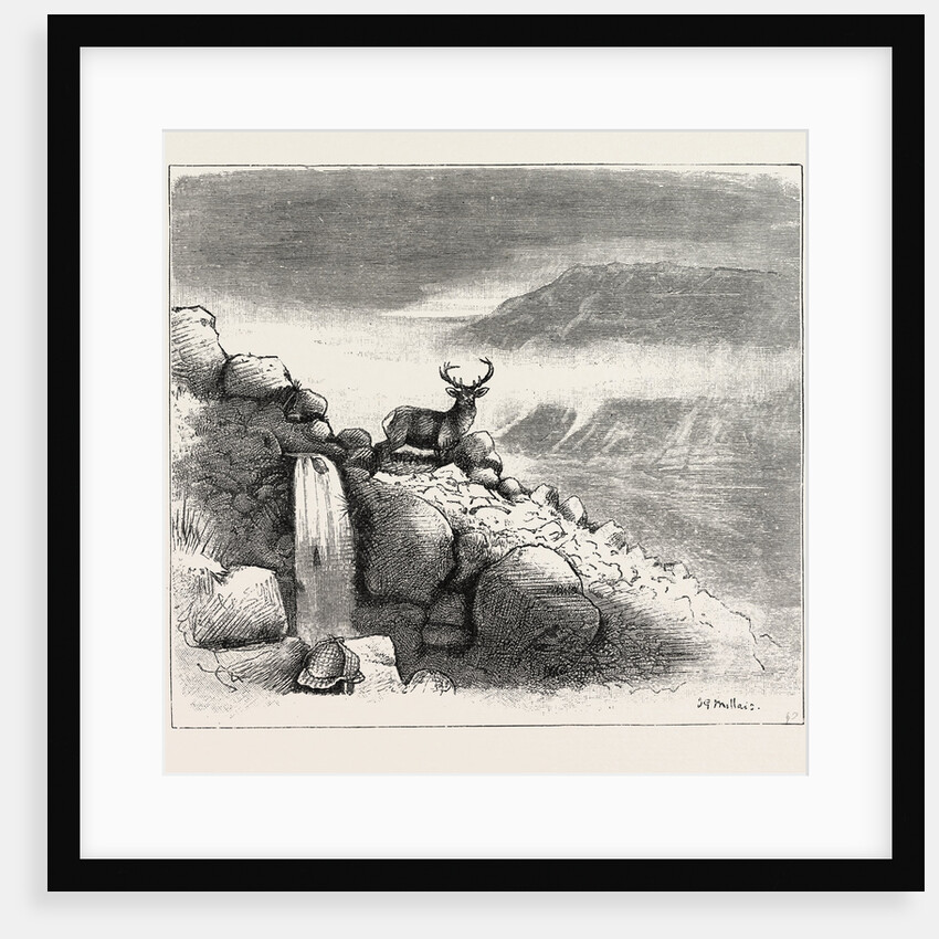 Deer Stalking in the Forest of the Black Mount, Argyllshire: The First Shot by Anonymous