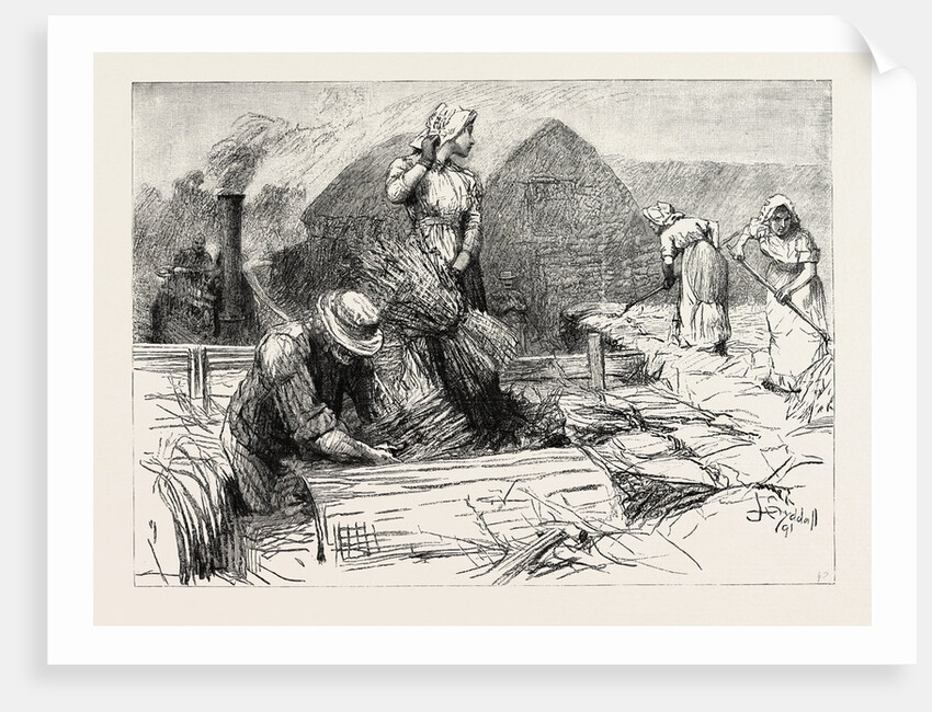 Tess of the D'Urbervilles by Anonymous