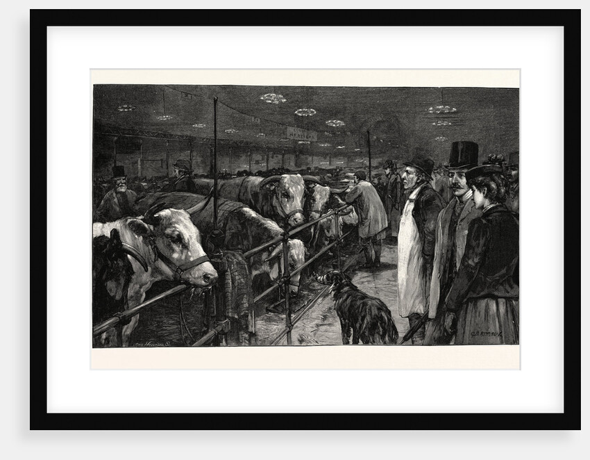 The Smithfield Club Cattle Show at the Agricultural Hall by Anonymous