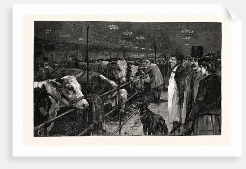 The Smithfield Club Cattle Show at the Agricultural Hall by Anonymous