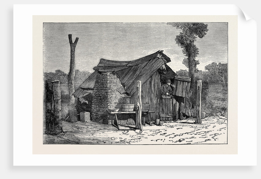 Sketches from Australia in Relation to the Tichborne Case: Hut in which the Claimant is Said to Have Lived at Wagga Wagga by Anonymous