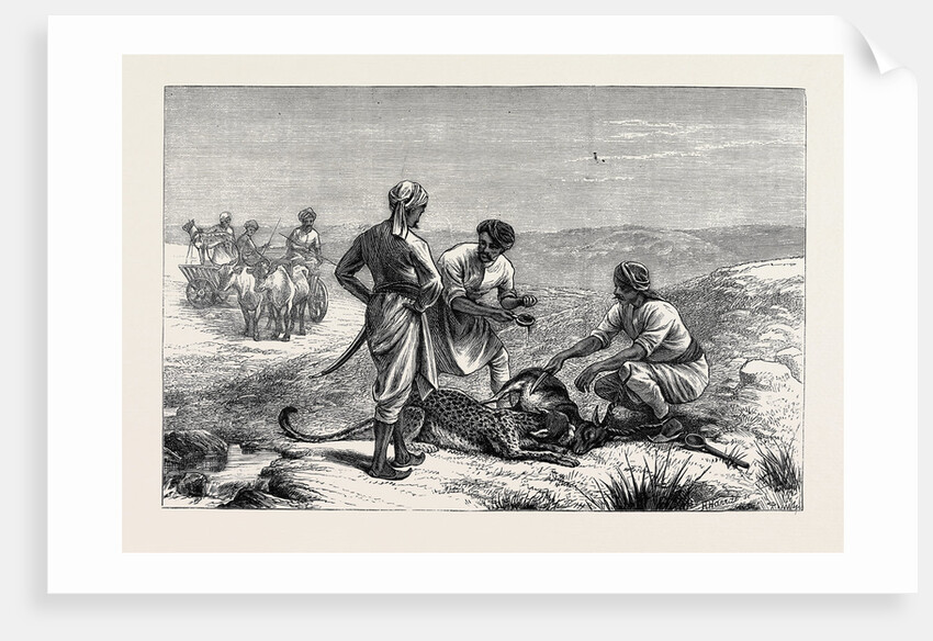 Sketches from India, Antelope Hunting: Caught by Anonymous