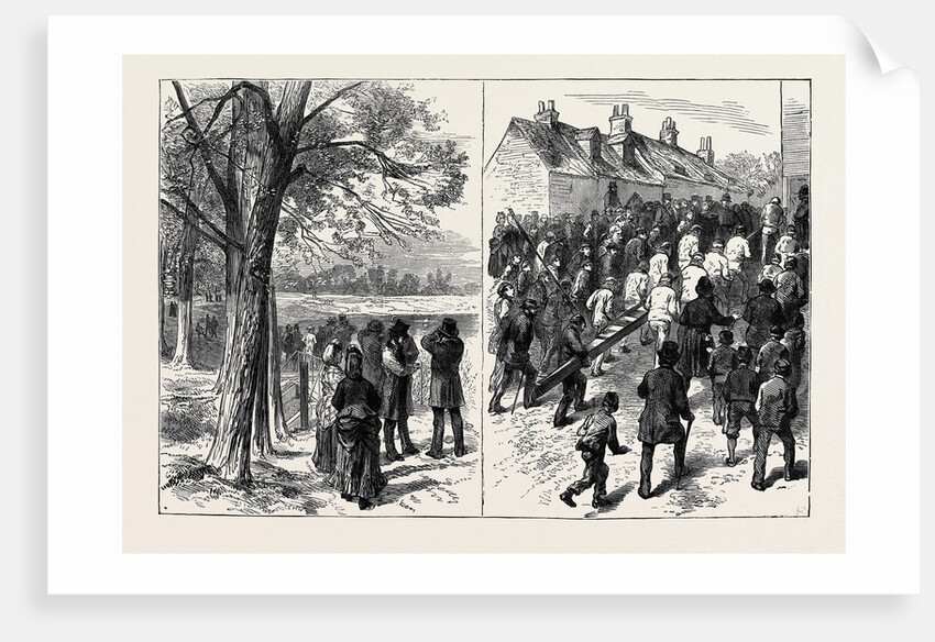 Sketches on the Thames: Training for the Race by Anonymous