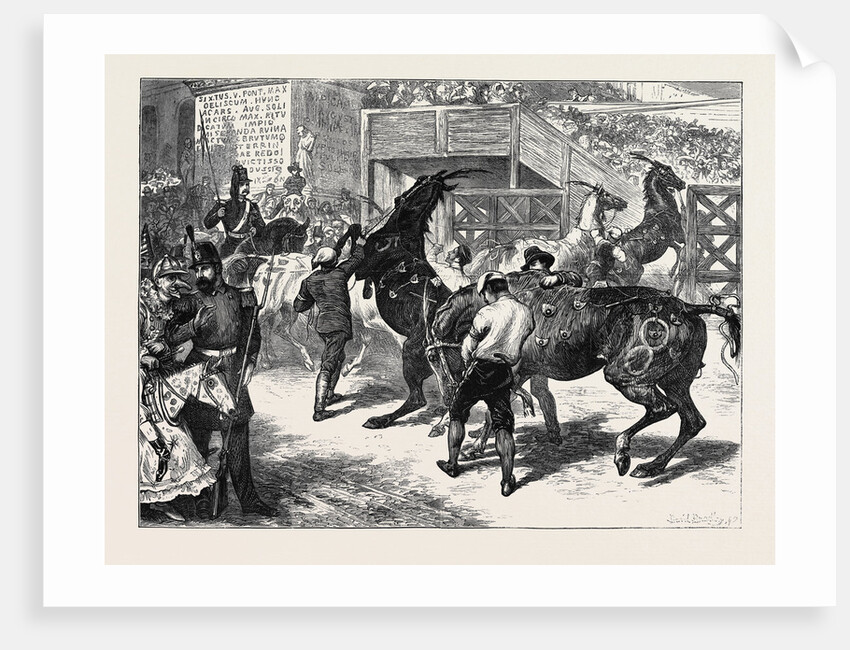 Rome: The Carnival Races: The Barberi Going Up to the Start by Anonymous