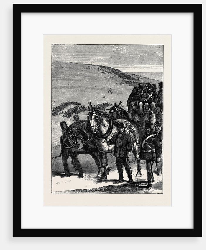 The Volunteer Review at Brighton: Guns of Position by Anonymous