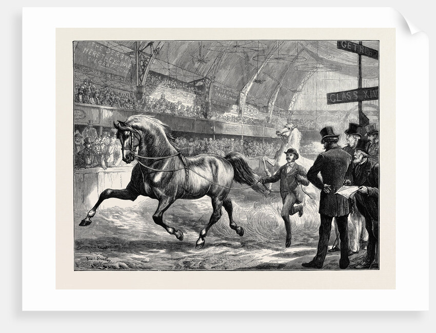 Trotting at the Islington Horse Show by Anonymous