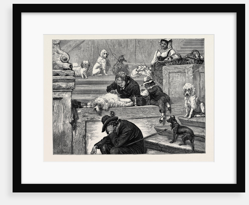 Rome: Shaving Dogs on the Steps of the Trinita De Monti by Anonymous
