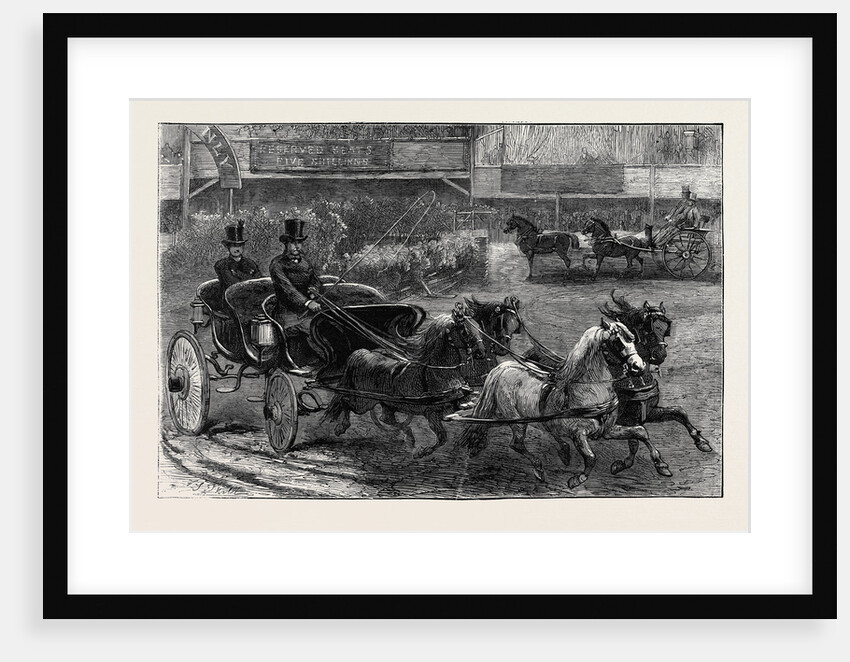 Four-in-Hand and Tandem Ponies at the Horse Show by Anonymous