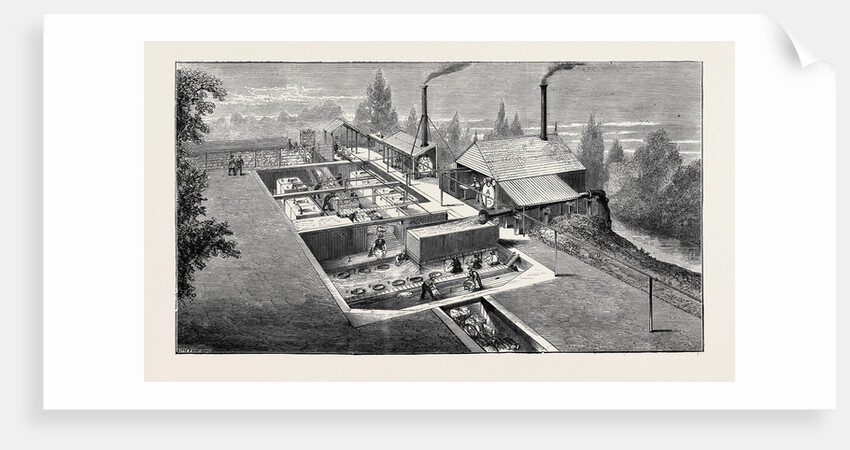 The New Plan of Sheepwashing by Anonymous