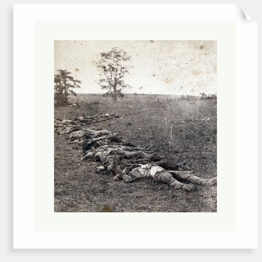 American Civil War: Gathered Together for Burial after the Battle of Antietam, Dead Bodies on the Ground by Anonymous