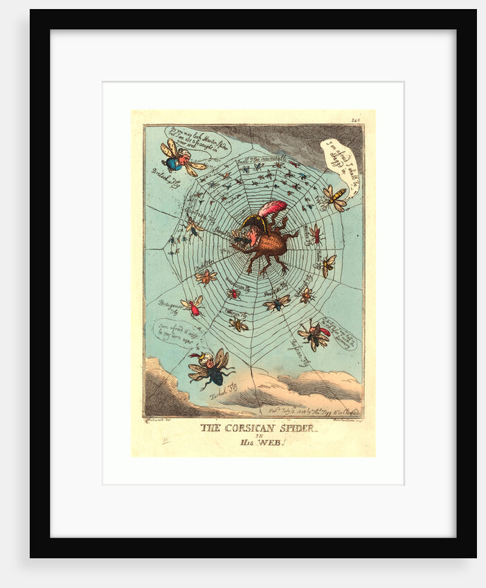 The Corsican Spider in His Web by Anonymous