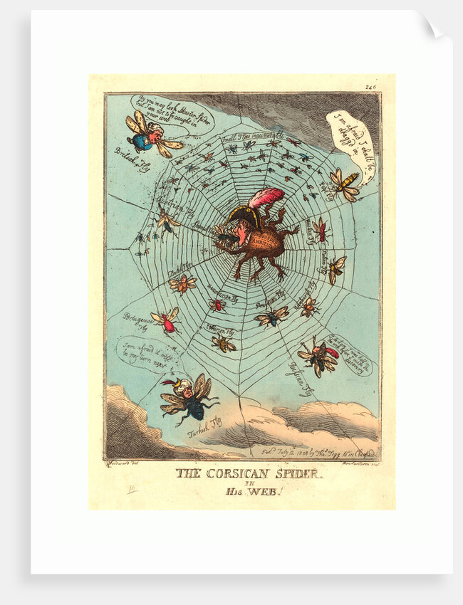 The Corsican Spider in His Web by Anonymous