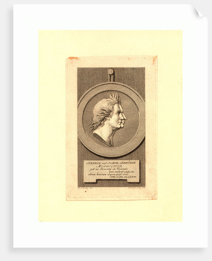 Stephan Und Joseph, Mongolfier by Anonymous