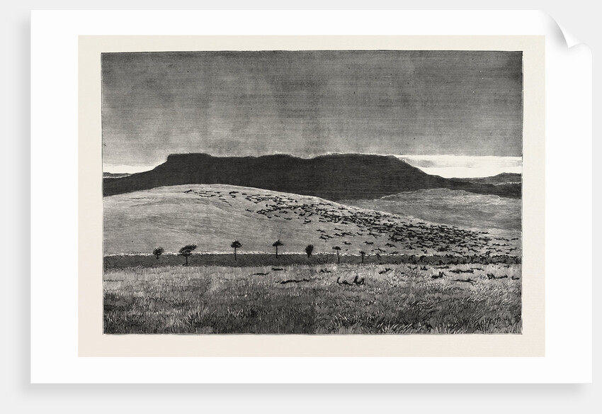 The War in the Soudan: The Battlefield of Abu Klea after the British Victory, January 17, 1885 by Anonymous