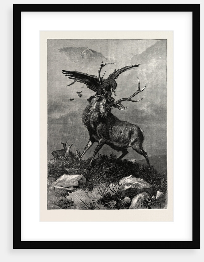 A Royal Duel Between a Stag and an Eagle by Anonymous