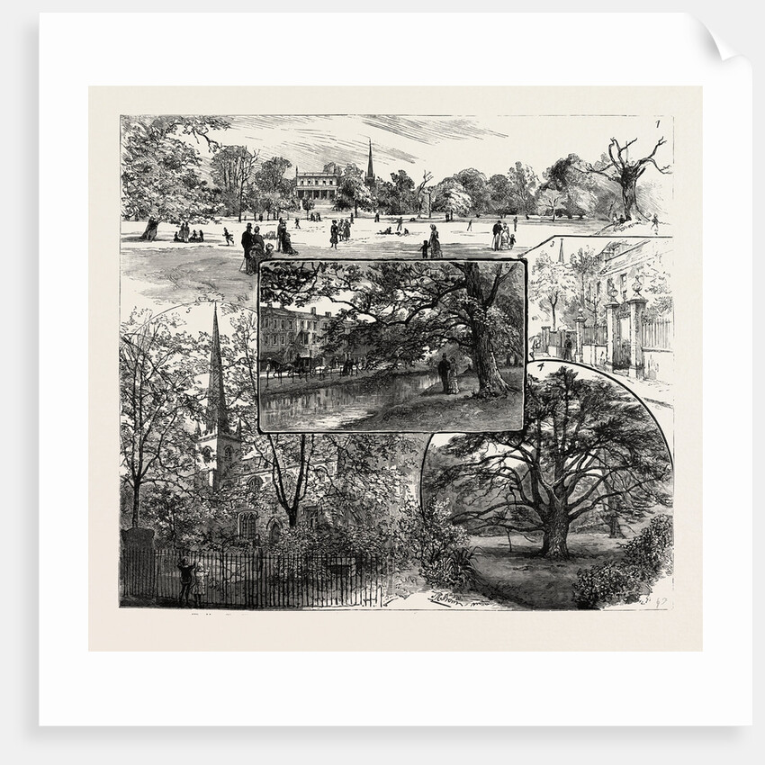 Breathing Spaces for London, Clissold Park, Stoke Newington, Open to the Public on Sundays by Anonymous