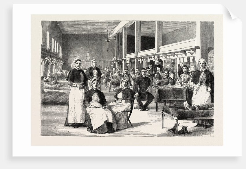 Military Hospital at Abassieh, Egypt, Under the Direction of English Sisters by Anonymous