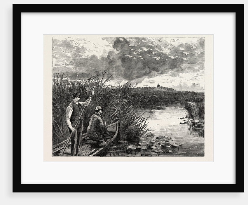 The Prince of Wales Shooting Wild Swans at Ekolsund, Sweden by Anonymous