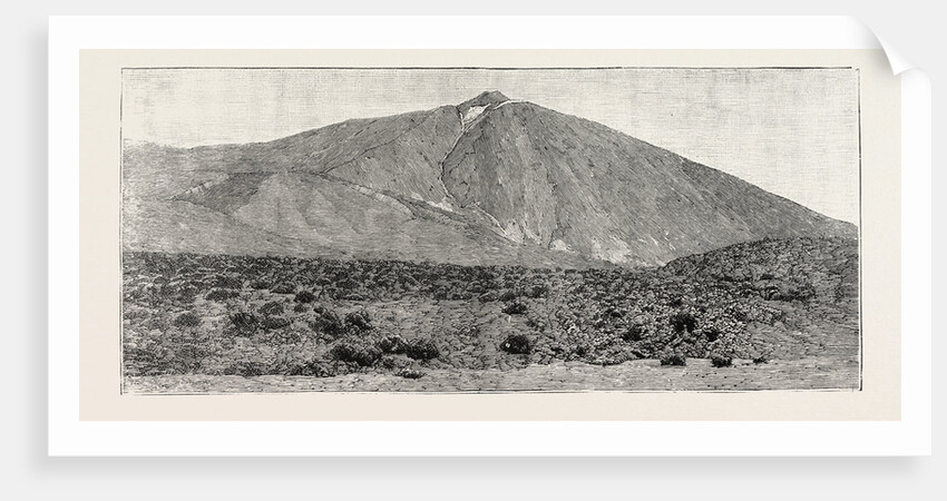 The Peak of Tenerife, from the Canadas on the South, the Canary Islands by Anonymous