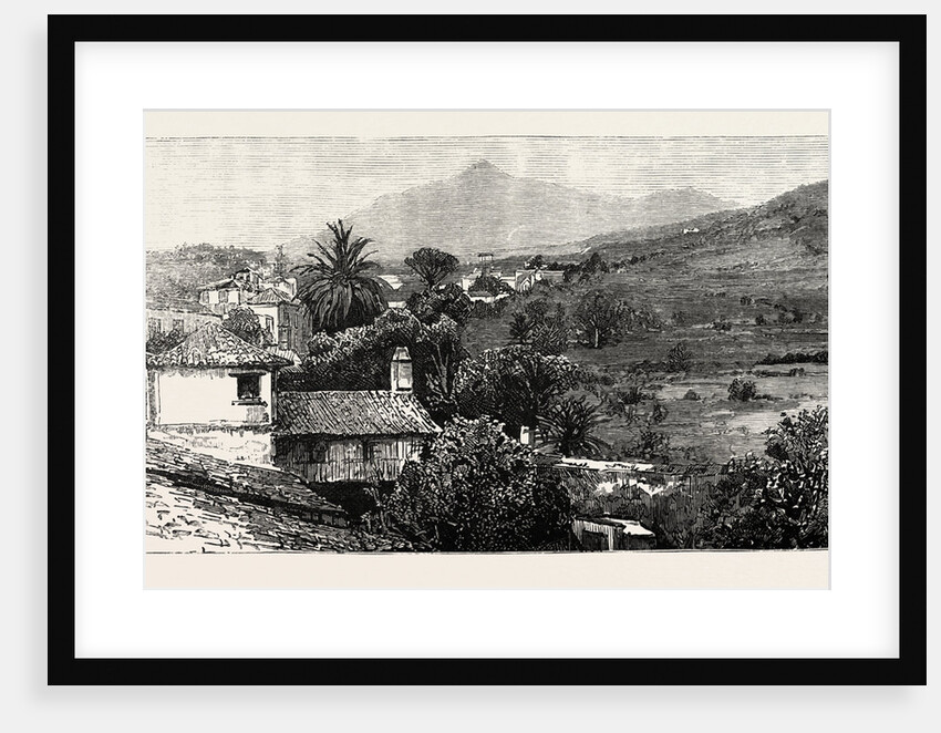 The Peak of Tenerife from Icod De Los Vinos, the Canary Islands by Anonymous