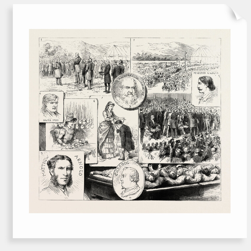 The Royal National Eisteddfod at Aberdare by Anonymous