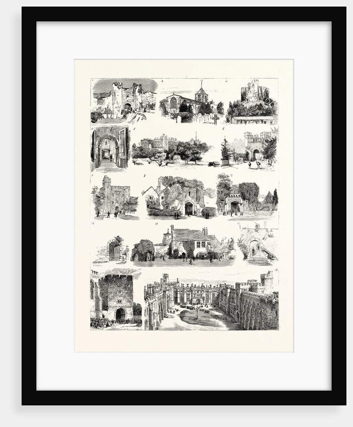 The British Archeological Association at Brighton, the Excursion to Arundel by Anonymous