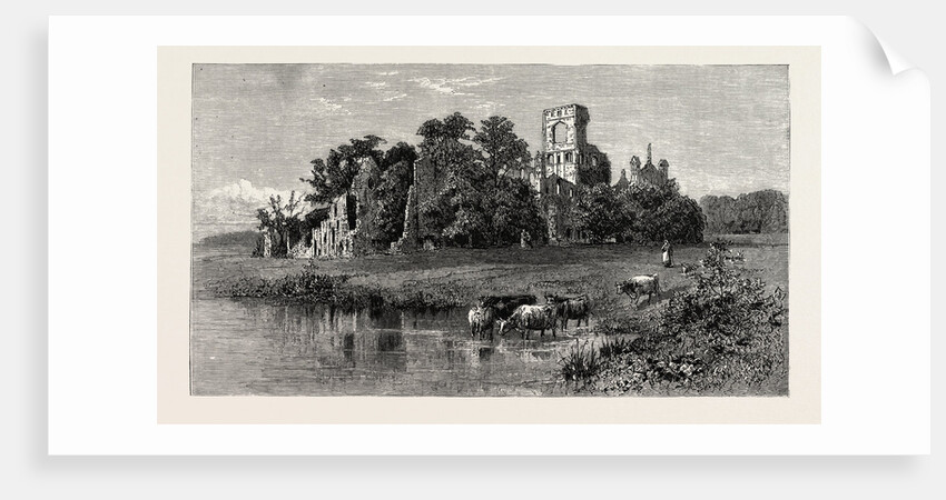 Leeds, Kirkstall Abbey by Anonymous