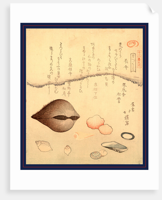 Hana Gai Aragai Masuo Gai, Aragai Hokkei, 1780-1850, by Anonymous