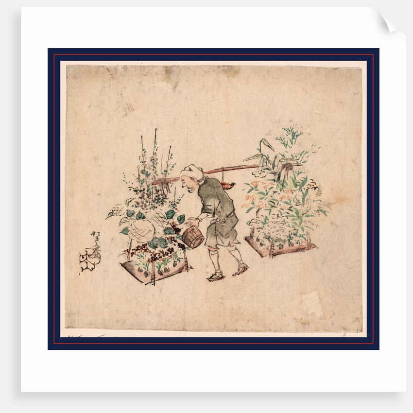 Hanauri, Flower Vendor by Anonymous