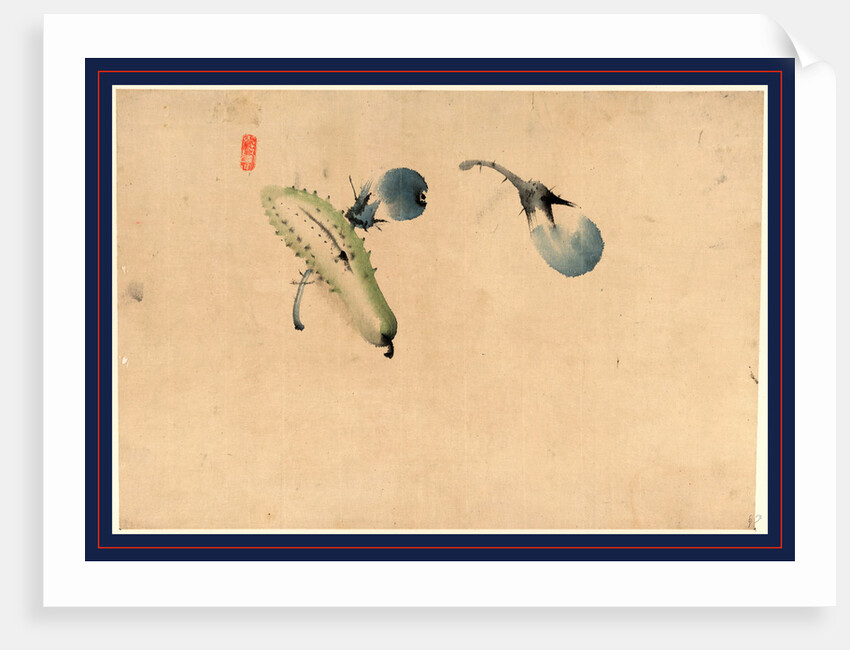 Cucumber or Squash and Eggplant by Anonymous
