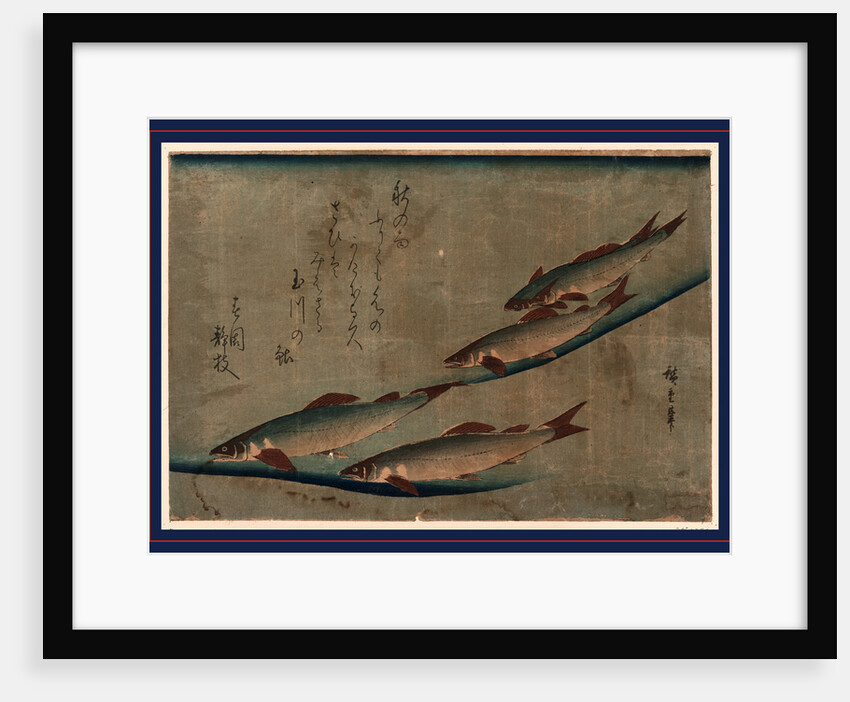 Four Trout in a Stream by Anonymous