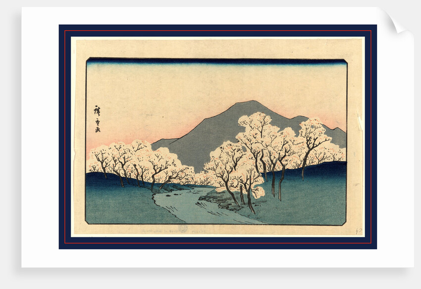Grove of Blossoming Cherry Trees with Mountain in the Background. by Anonymous