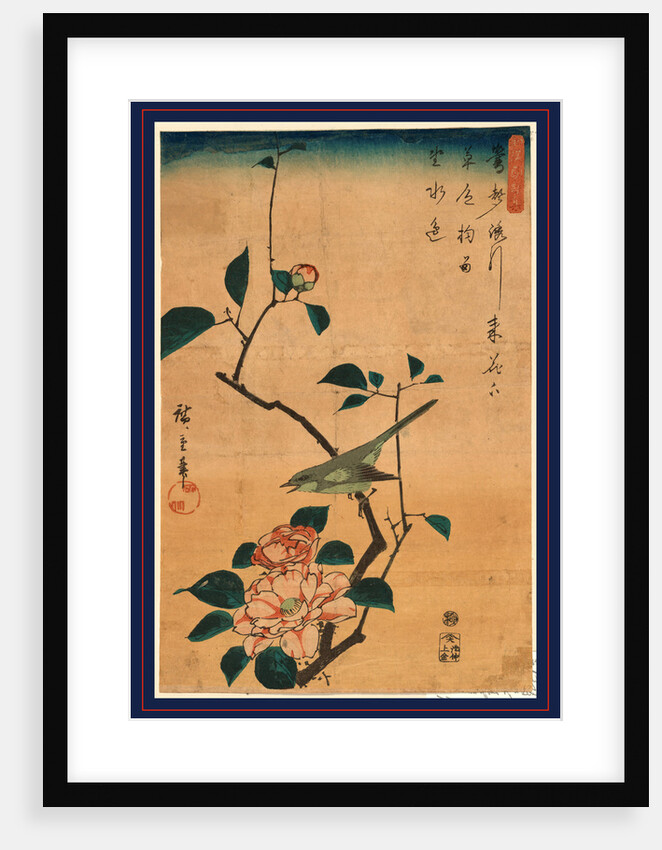 Bird on a Tree Branch with Camellia Blossom. by Anonymous