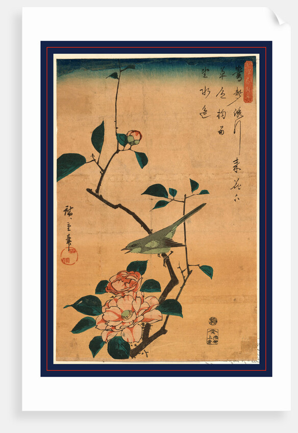 Tsubaki ni uguisu, Camellia and Bush Warbler by Ando Hiroshige
