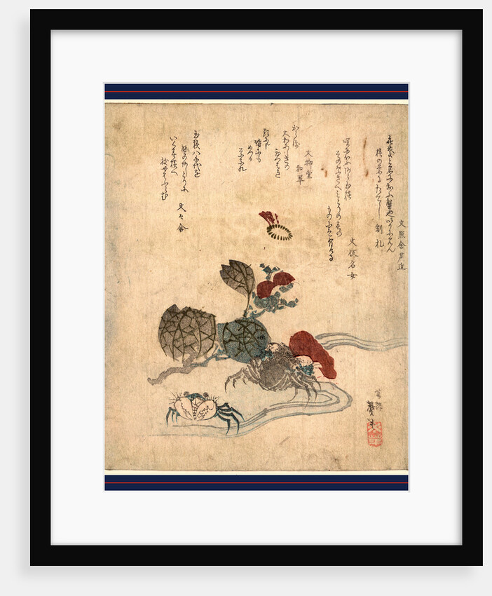 Two Crabs and a Camellia Blossom by Anonymous