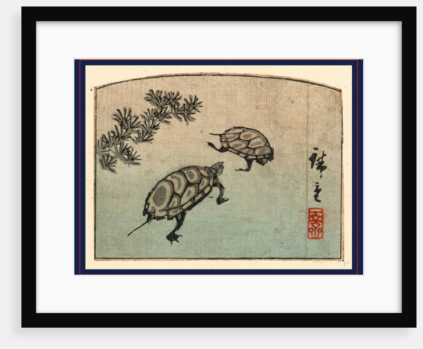 Two Turtles by Anonymous