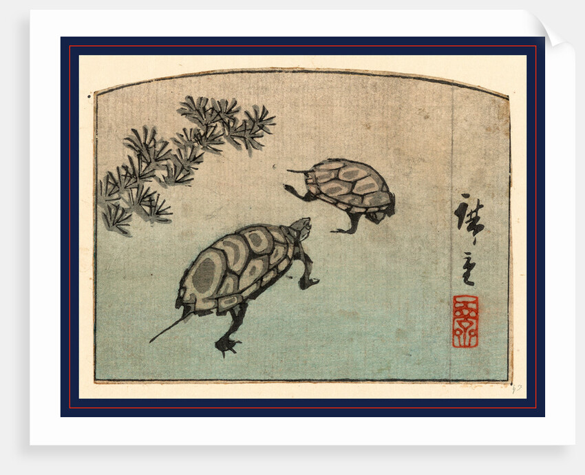 Two Turtles by Anonymous