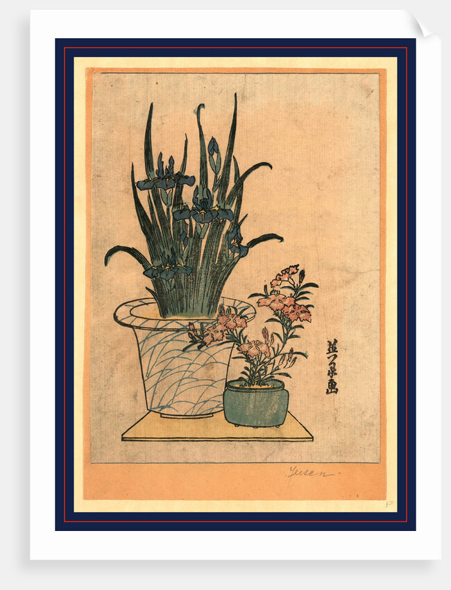 Two Flower Pots, One with Irises and the Other is the Pink Nadeshiko Flower by Anonymous