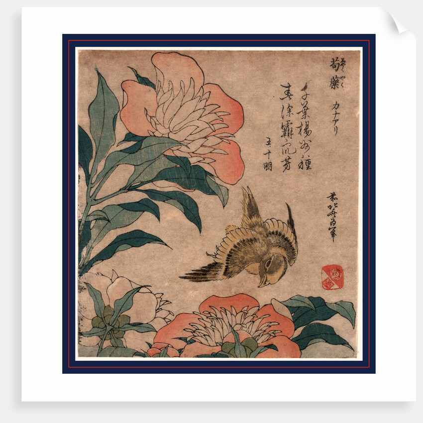 Shakuyaku Kana Ari, Peony and Canary by Anonymous