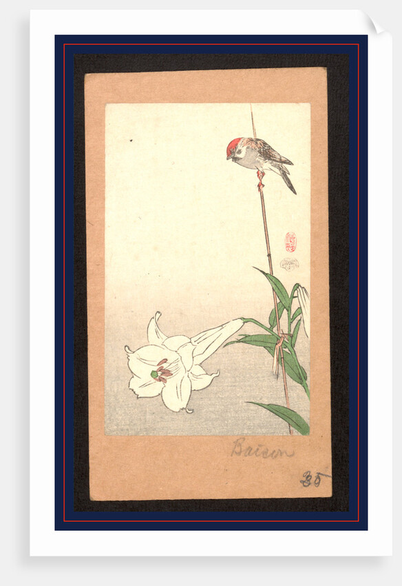 Small Red-Capped Bird Perched on a Bamboo Stake Supporting a Lily Plant. by Anonymous