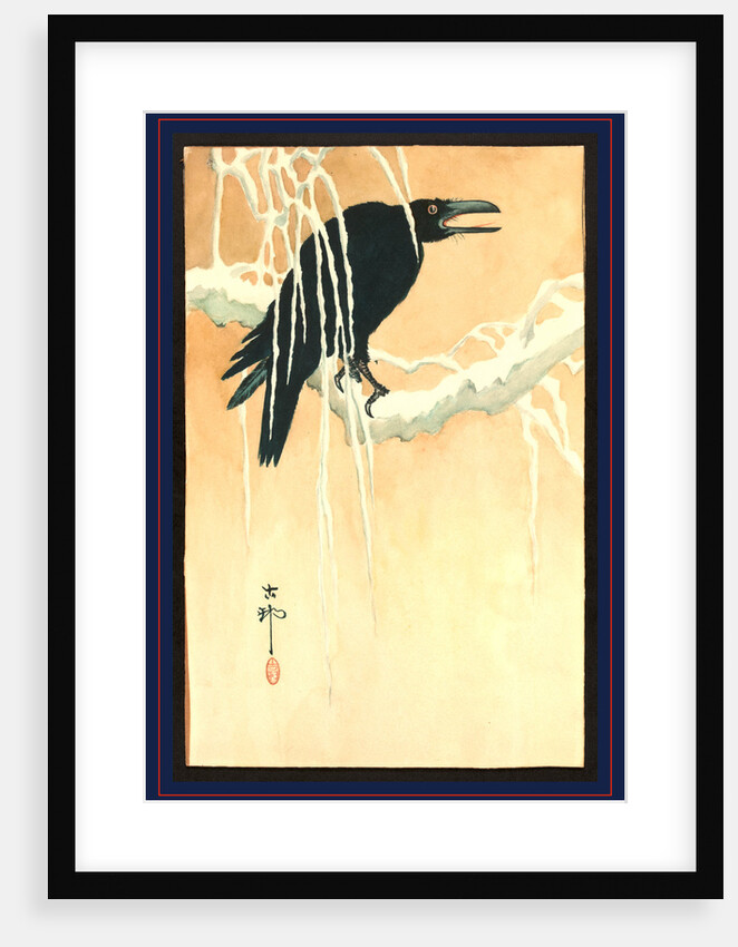 Blackbird (Raven or Crow) Perched on a Snow-Covered Branch. by Anonymous