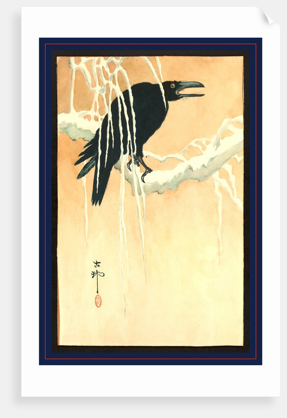 Blackbird (Raven or Crow) Perched on a Snow-Covered Branch. by Anonymous