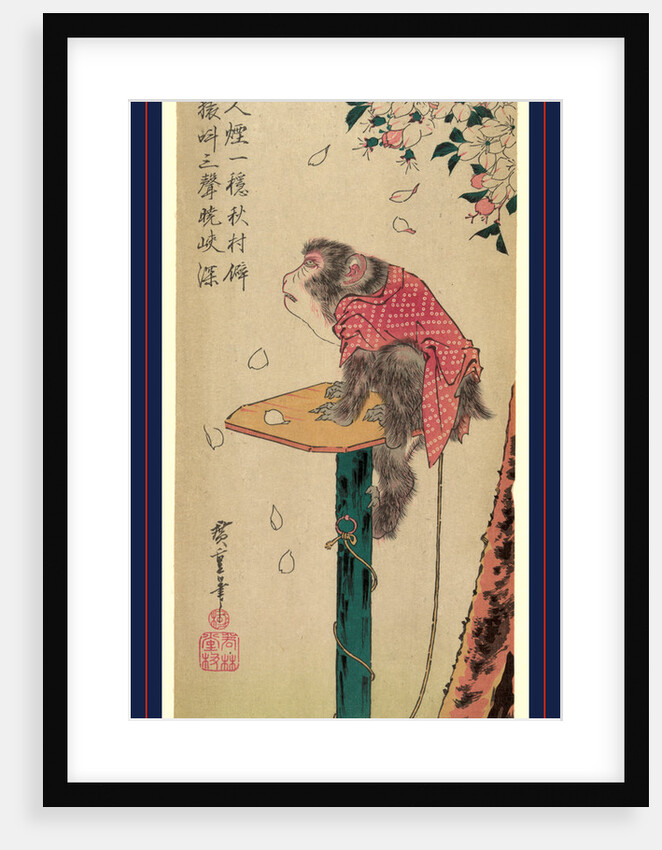 Monkey Sitting on a Post with Cherry Blossoms Falling Around It. by Anonymous