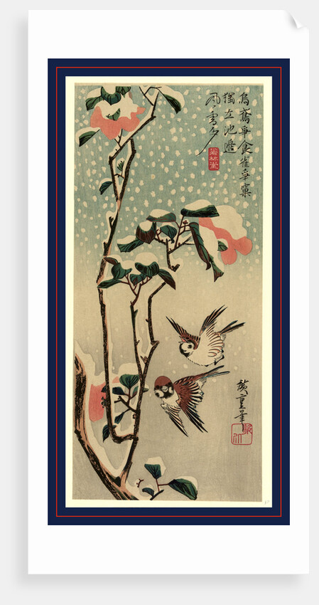 Secchu tsubaki ni suzume, Sparrows and camellias in snow by Ando Hiroshige