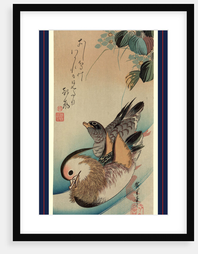 Oshidori, Mandarin ducks by Ando Hiroshige