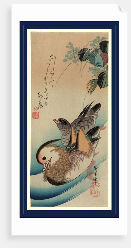 Oshidori, Mandarin ducks by Ando Hiroshige