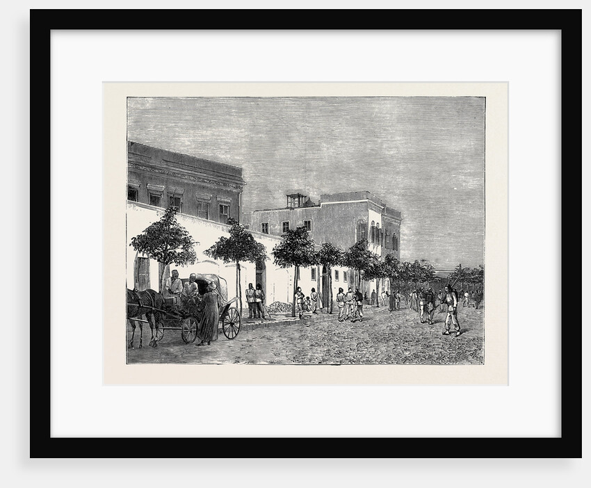 The Crisis in Egypt: Arabi Pasha's House, Cairo by Anonymous