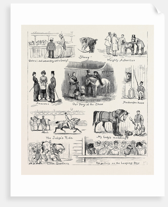 The Islington Horse Show by Anonymous