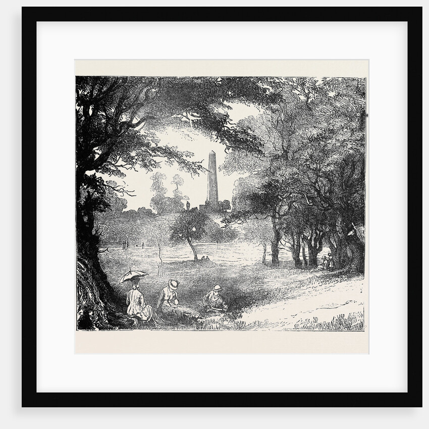 View in Phoenix Park, Dublin, Ireland by Anonymous